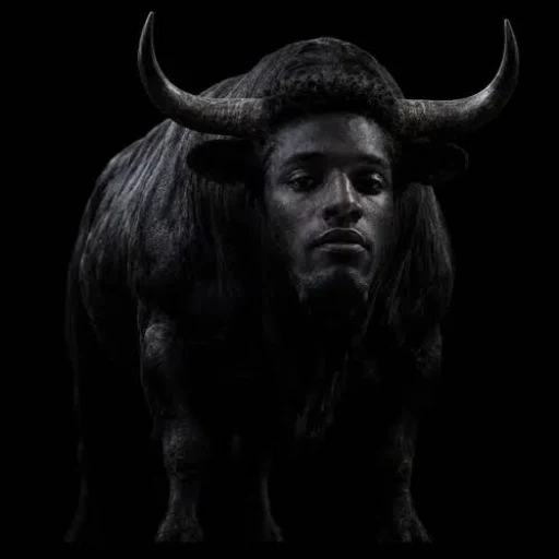 The $ANSEM bull